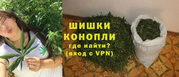 PSILOCYBIN Аркадак