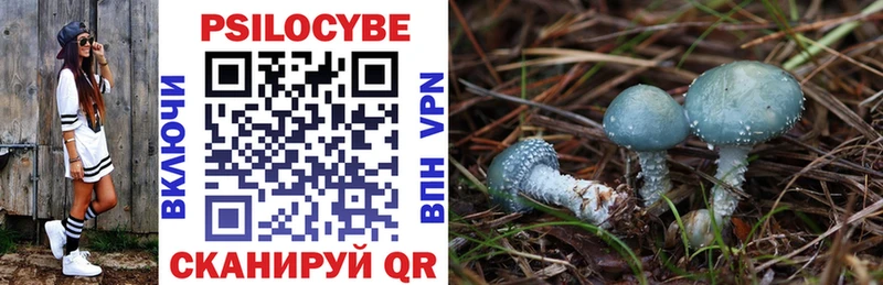 Галлюциногенные грибы Cubensis  Пустошка 